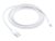 Apple Lightning cable – Lightning / USB – 6.6 ft