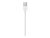 Apple Lightning cable – Lightning / USB – 3.3 ft